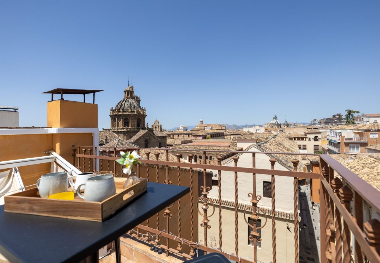 Apartment in Granada - Granada Center Boutique Penthouse 