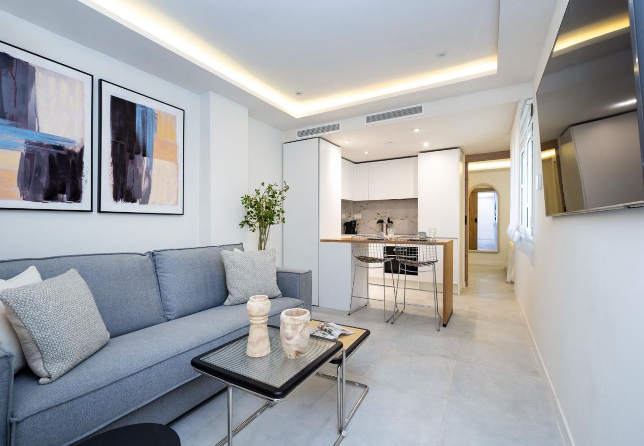 Apartment in Granada - GANIVET SOUL SUITE 