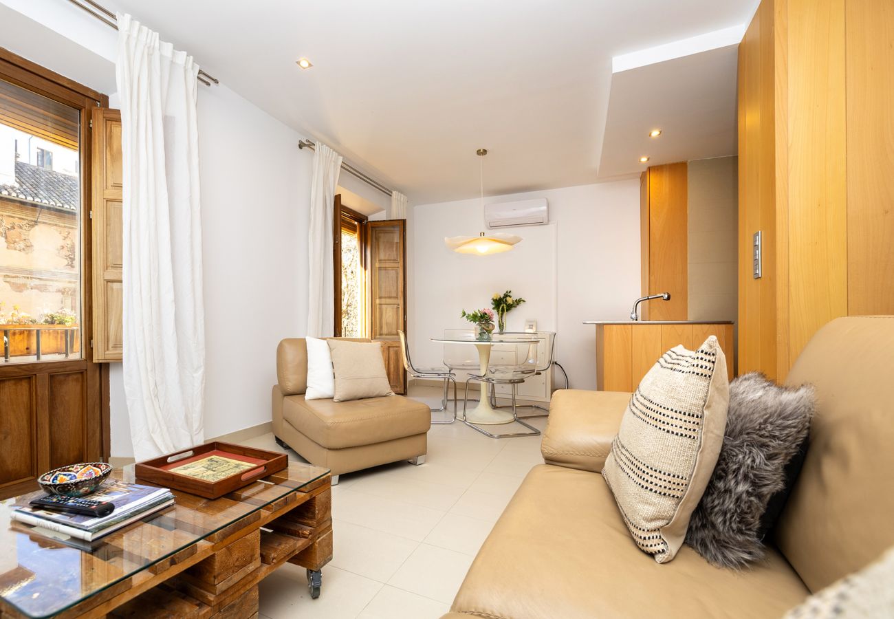 Apartment in Granada - Santa Ana